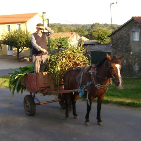 Stone Finisterre Curtis