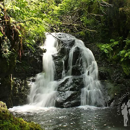 Stone Finisterre * Curtis