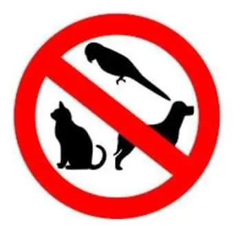 Stone Finisterre * Curtis