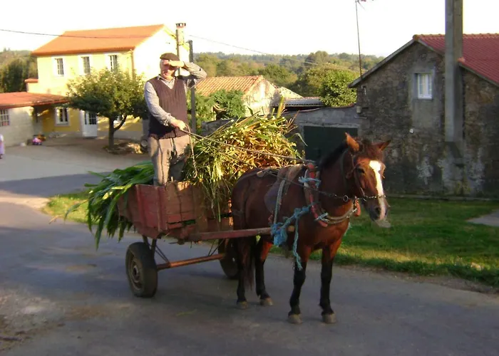 Stone Finisterre Curtis