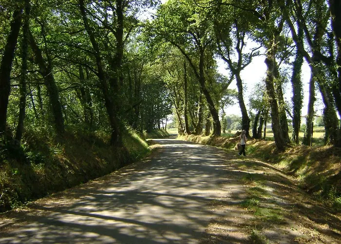 Stone Finisterre Curtis