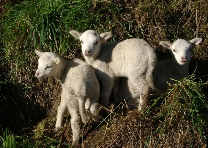 펜션 Stone Finisterre *